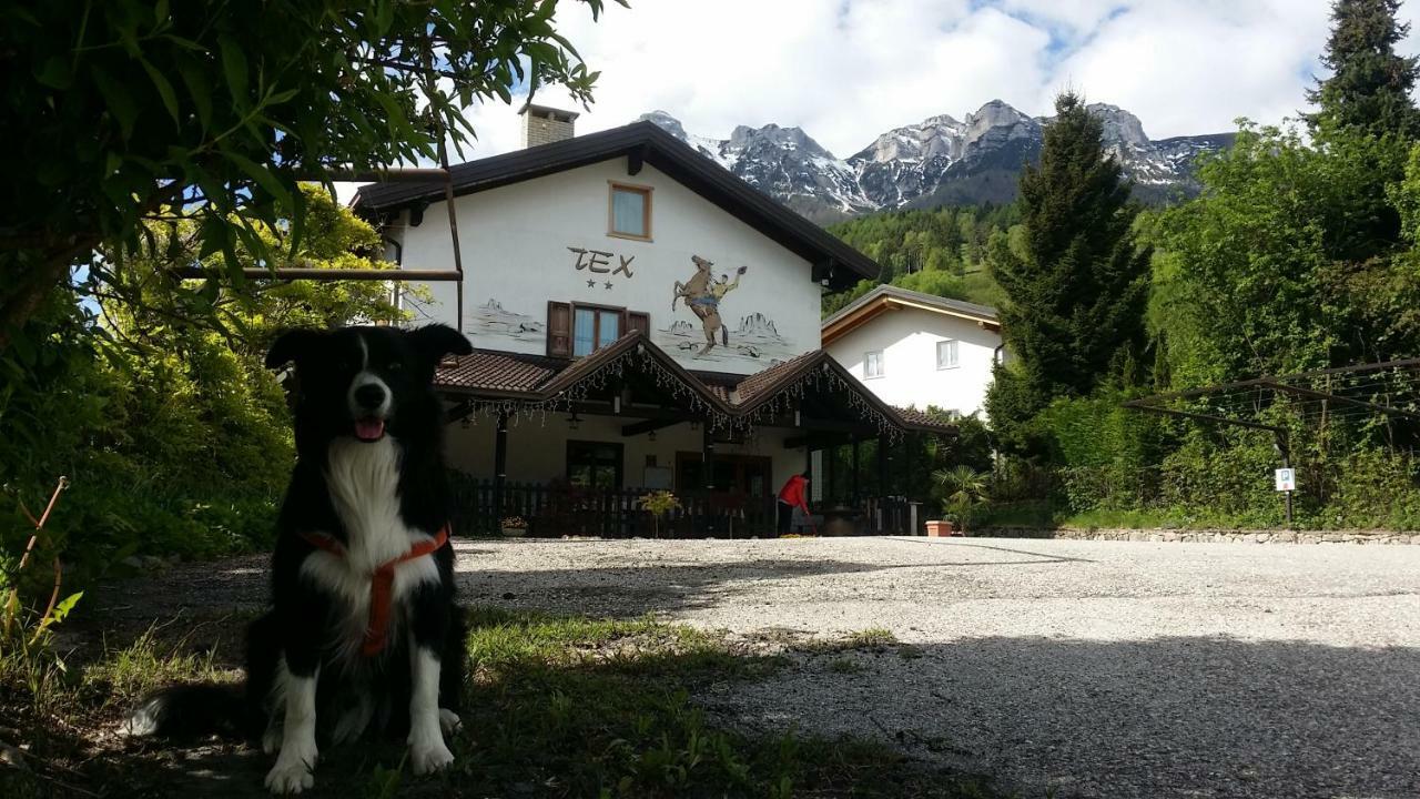 Botton D'Oro Delle Dolomiti Acomodação com café da manhã Vattaro Exterior foto